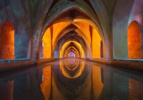 5 Simple Wellness Tips for Busy Professionals